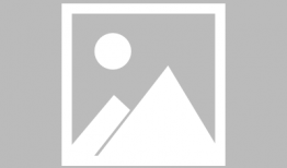 发呆吃瓜,闲适生活的小确幸