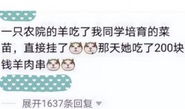 幽默吃瓜先生小说,笑料横生的奇幻食界之旅