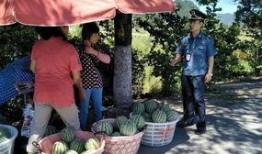 蒲城吃瓜群众地址,吃瓜群众的热闹日常