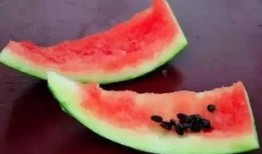 害怕吃瓜,为何有人害怕吃瓜，揭秘背后的心理奥秘