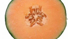 孕吐可以吃哈密瓜,哈密瓜的神奇功效