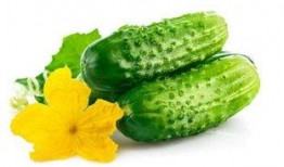 吃黃瓜的好处,润泽肌肤、清热解毒的天然佳品