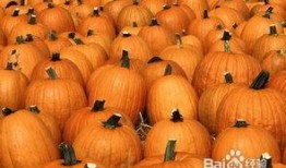 孕妇可以吃馕瓜,馕瓜，孕妇的滋补佳品