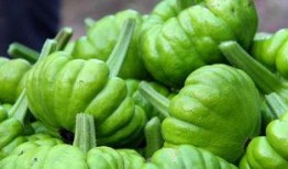 姜柄瓜可以怎么吃,创意烹饪指南