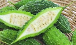 安中医吃瓜视频,揭秘校园生活趣味瞬间