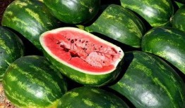 吃瓜摔瓜视频素材,吃瓜摔瓜视频背后的趣味与思考