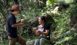 深山吃瓜小组,揭秘隐秘山林的欢乐生活圈