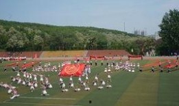 上海交大 吃瓜,揭秘“吃瓜”背后的学术魅力与校园生活