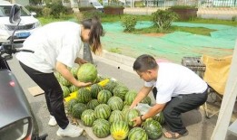 外面卖吃瓜,夏日炎炎吃瓜乐无边