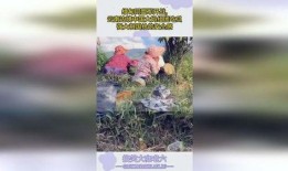 云南大娘吃瓜视频,揭秘当地独特生活方式