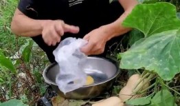 在娘家吃瓜,揭秘家庭温馨时光