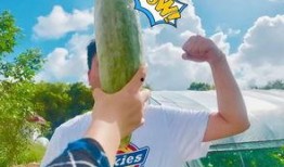 19年网红吃瓜,揭秘娱乐圈幕后真相