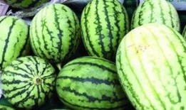 吃瓜怎么吃得更快视频,揭秘如何快速吃瓜技巧