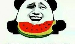 吃瓜群众有看法,揭秘网络舆论背后的真相与影响