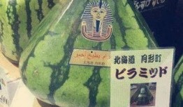 最强吃瓜群众图文大全