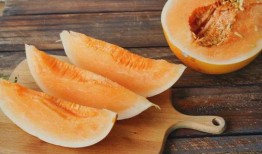 早孕吃蜜瓜,甜蜜滋味中的孕期营养之道