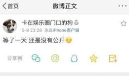 吃瓜爆料53,揭秘娱乐圈最新热点事件