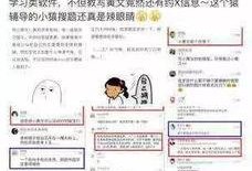 傻瓜吃瓜成语,揭秘网络热词背后的趣味与智慧