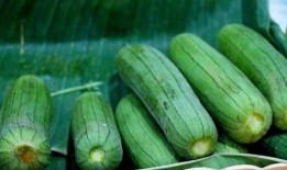 立秋吃瓜好处多,吃瓜养生好处多