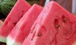 带你吃瓜黄蓝骑士,带你领略瓜界风云