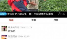 2455吃瓜直播,揭秘娱乐圈幕后故事