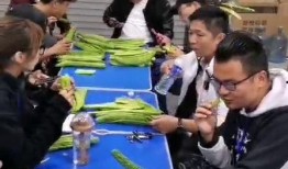 集体吃瓜完结,揭秘背后的真相与感悟