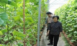 春风秋月吃瓜真哇塞,一场别开生面的美食盛宴