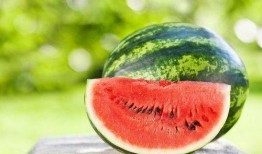 夏季吃瓜也有讲究,养生之道有讲究