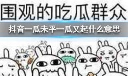 抖音吃瓜门,揭秘网络舆论的狂欢与反思