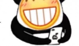 小黄脸吃瓜含义,揭秘网络热词背后的趣味与内涵