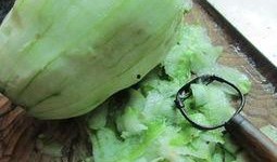 吃蜜糖长大的吧 吃瓜,探寻甜蜜与辛辣的交织之旅