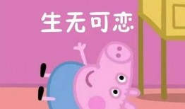 动画小猪吃瓜视频大全