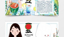 吃瓜word怎么制作,揭秘“吃瓜群众”背后的文化现象