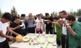 外地人吃老汉瓜,感受乡村风情