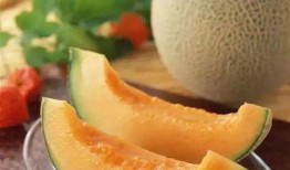 陆虎吃哈密瓜,陆虎畅享哈密瓜美味时光