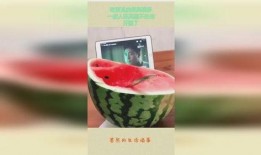 吃瓜最高境界图片