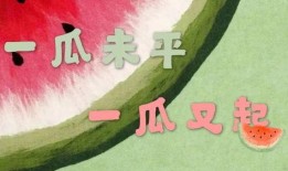 娱乐吃瓜视频风格分析,明星幕后那些事儿，吃瓜群众必看！