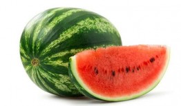 带你吃瓜黄蓝骑士,带你领略瓜界风云