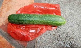 现在什么瓜可以吃,盘点时下最受欢迎的夏日瓜类美食