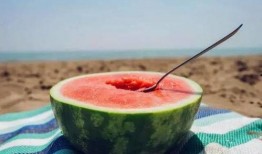 勺子吃瓜,揭秘网络热词背后的趣味与思考