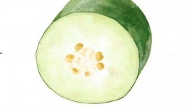 夏暖吃瓜,一场甜蜜的吃瓜盛宴