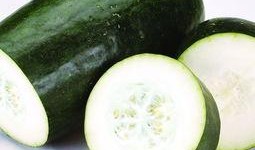 女孩夏日吃瓜头像,瓜果飘香——女孩吃瓜头像下的夏日风情