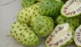 夏威夷吃瓜,畅享热带吃瓜盛宴