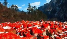 红石公园吃瓜视频,揭秘公园里的那些事儿