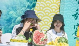 抖音倭寇吃瓜,倭寇吃瓜，古风美食新潮流