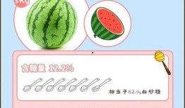 吃瓜请放糖,吃瓜请放糖，探寻美食背后的甜蜜故事