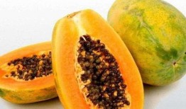 梦见妈妈吃蜜瓜,妈妈与蜜瓜的温馨邂逅