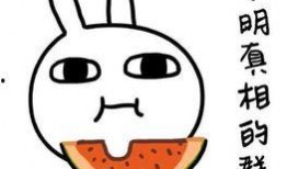 带你吃瓜骗术揭秘,网络骗术背后的真相与防范策略