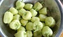 辣椒茄瓜怎么吃,探索美味与营养的完美结合