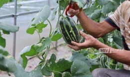 杭州摩友吃瓜,一场“吃瓜”引发的骑行文化探讨